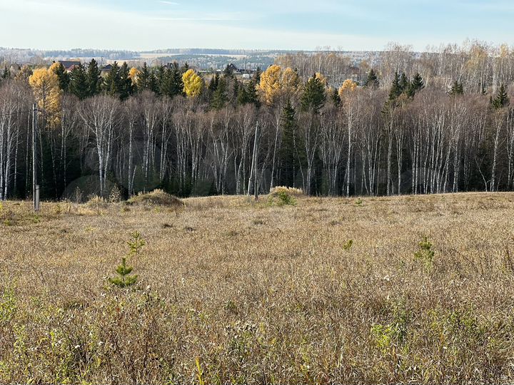 Участок 96 сот. (ИЖС)