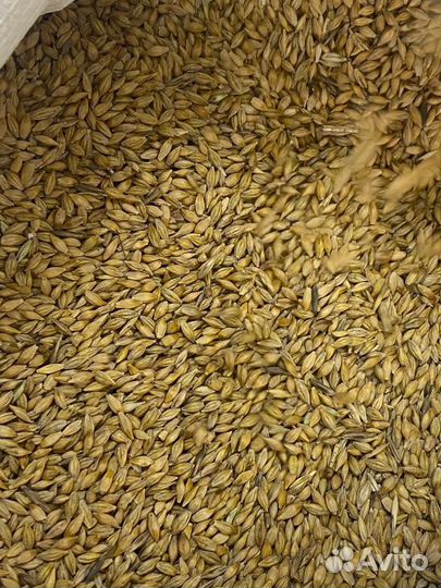 Комбикорм зерно отруби