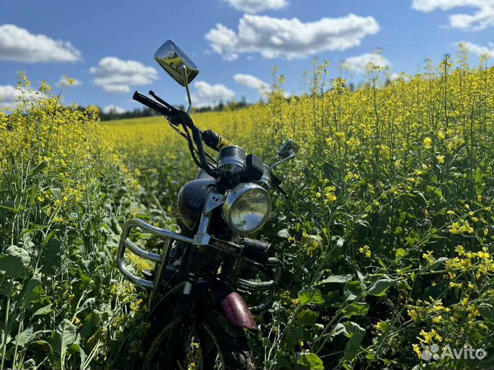 Продам альфу Рейсер, возможен обмен
