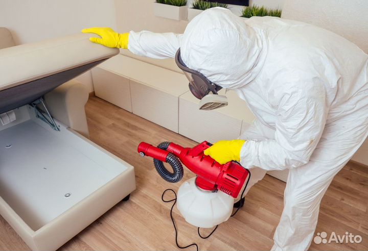 Уничтожение тараканов, обработка от клопов