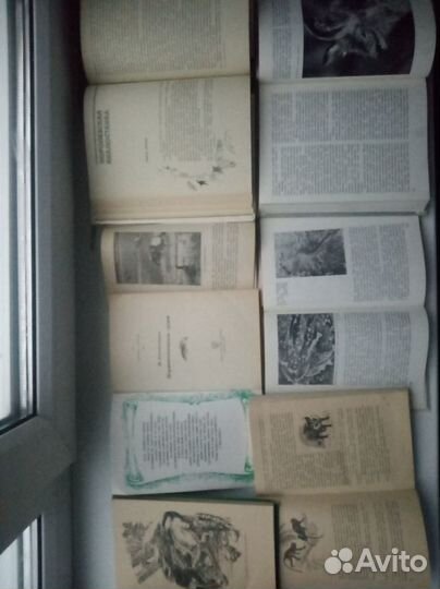 10 книг о животных