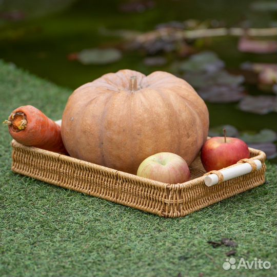 Поднос с имитацией ротанга, 25х35 см