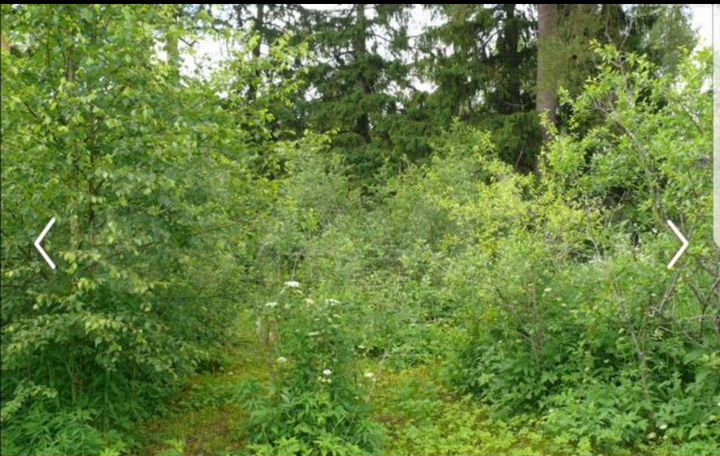 Участок 15 сот. (ИЖС)