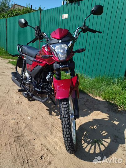 Alpha 125