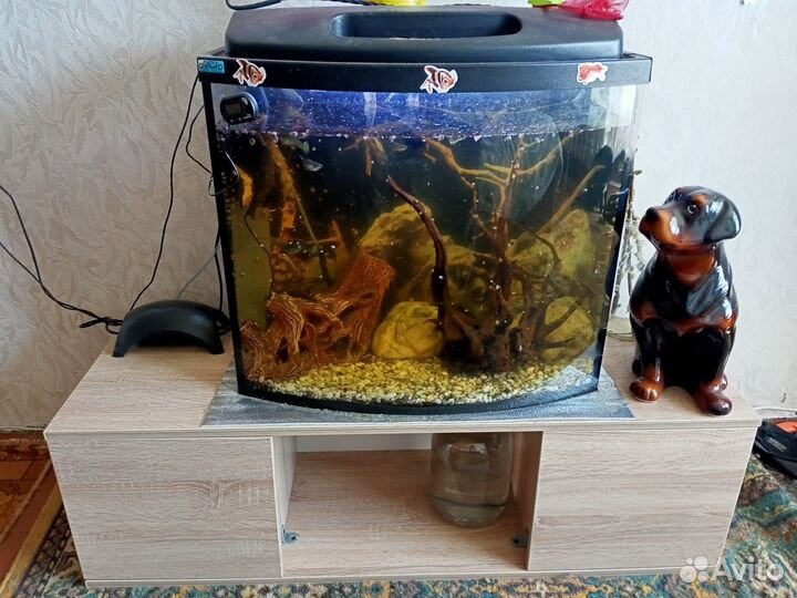 Аквариум панорамный с тумбой