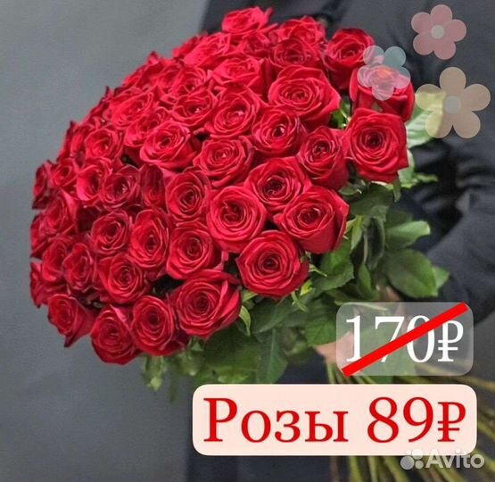 101 Роза Букеты 31 51 101 Роза