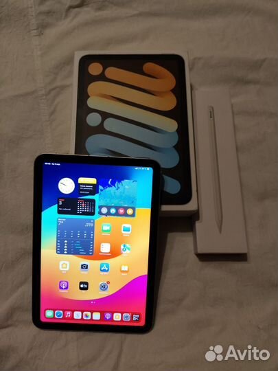 Apple iPad mini 6 wi fi cellular 64gb