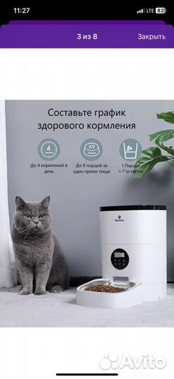 Автоматическая кормушка для кошек и собак