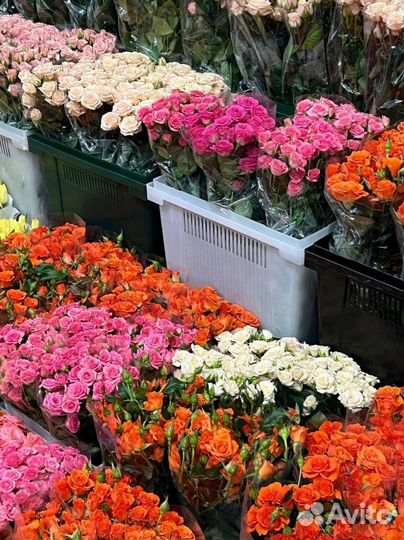 Доставка цветов / Цветы