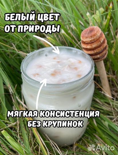 Кедровый мед