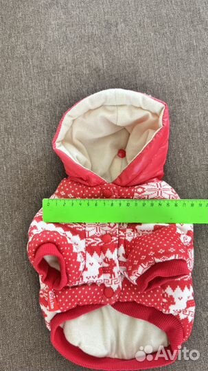 Зимняя куриочка для собаки мелкой породы