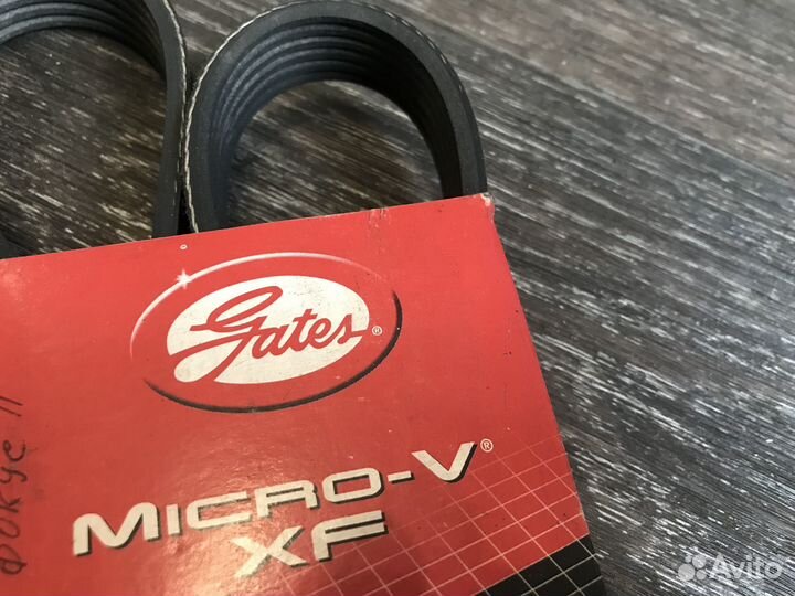 Ремень приводной Ford Focus