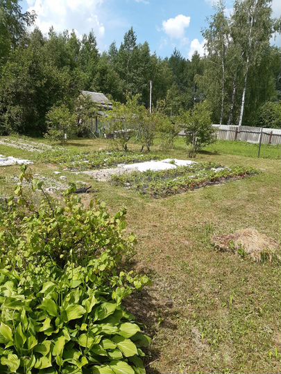 Участок 4 сот. (СНТ, ДНП)