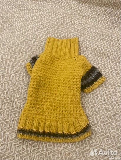 Амуниция для собак мелких пород