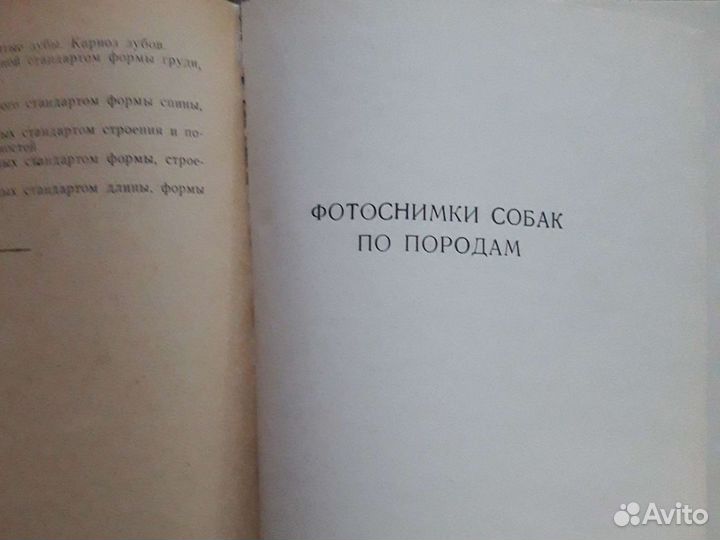 Каталог 50 юбилейная Ленинградская выставка охотни