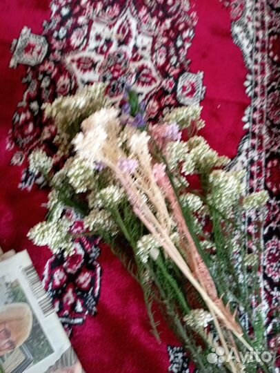 Продам стабилизированные цветы и сухоцветы