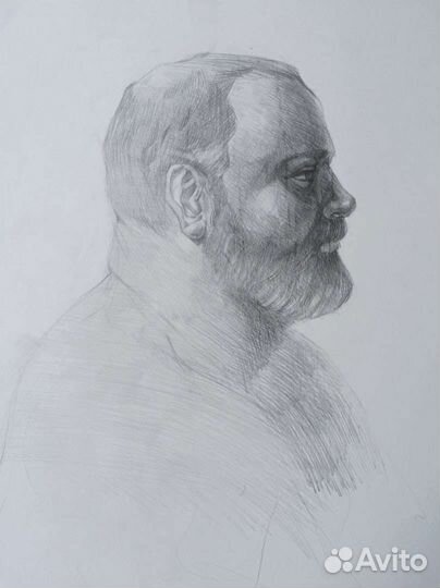 Художник, дизайнер, портрет, иллюстрация