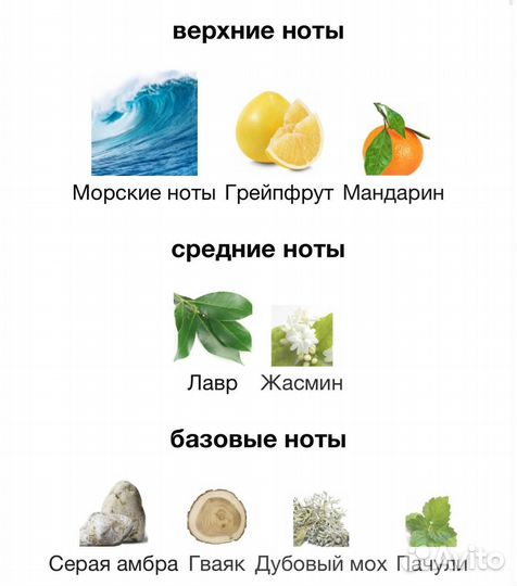 Мужская туалетная вода Invictus
