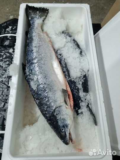 Продукты питания