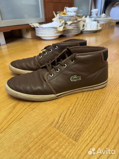 Lacoste кеды мужские