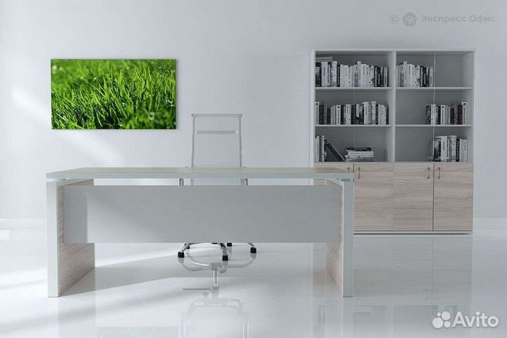 Кабинет руководителя Steel evo