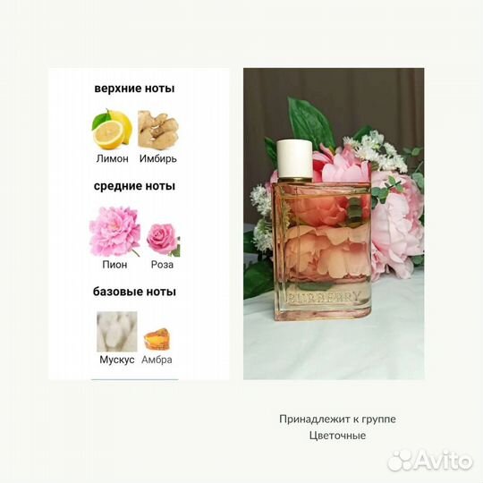 Burberry London Dream