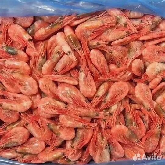 Северная креветка коробкой