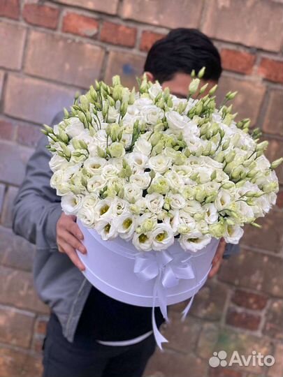 Эустома букет