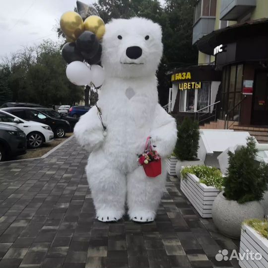 Аэрокостюм 