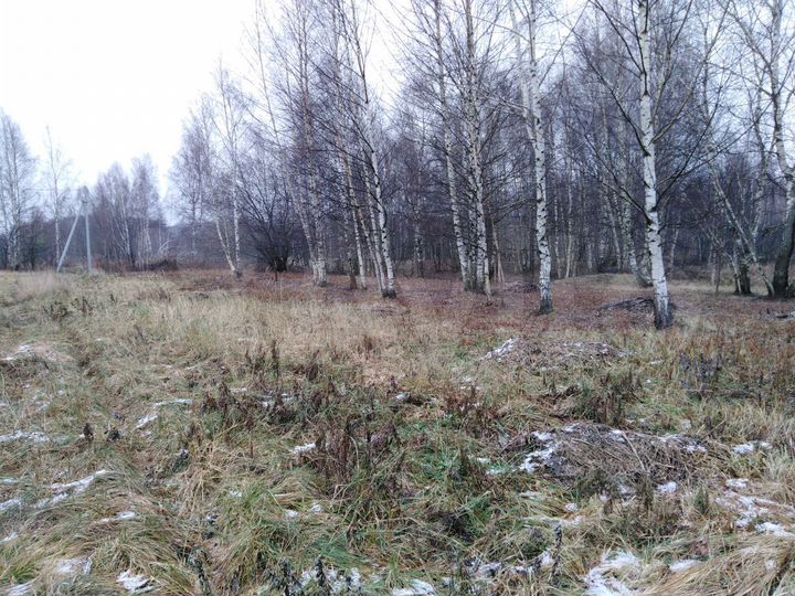 Участок 21 сот. (ИЖС)