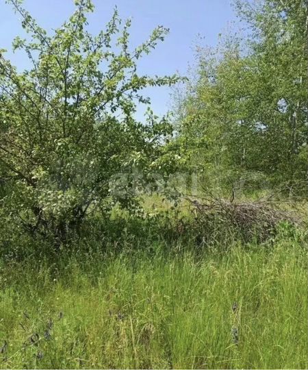 Участок 14 сот. (СНТ, ДНП)