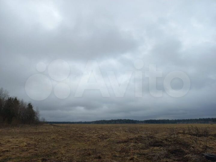 Участок 4,83 га (СНТ, ДНП)