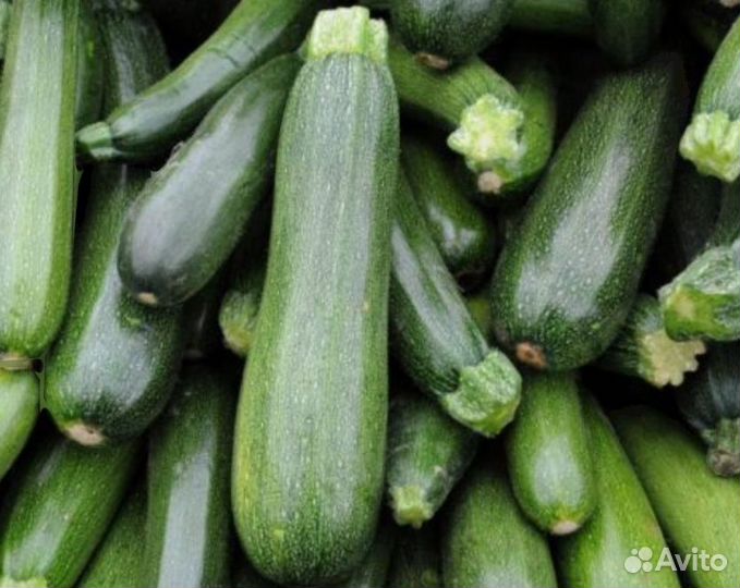 Кабачки свежие