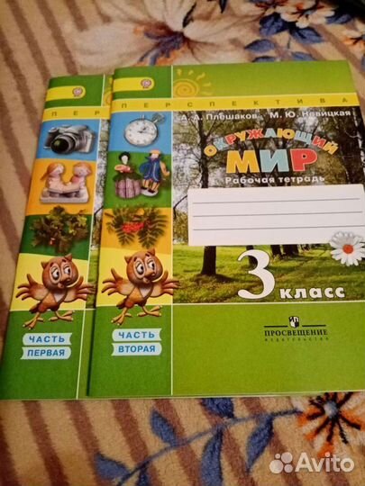 Окружающий мир 3 класс перспектива