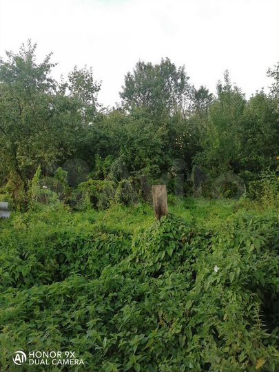 Комната 17 м² в 1-к., 1/2 эт.