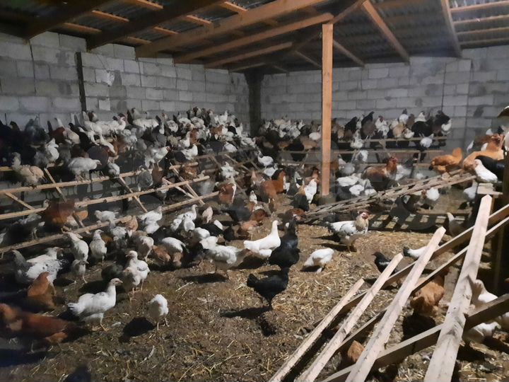 Дача 400 м² на участке 100 сот.