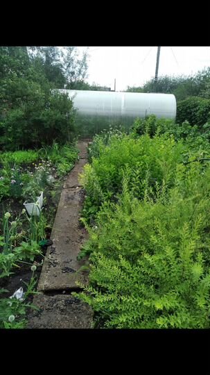 Дача 40 м² на участке 4 сот.