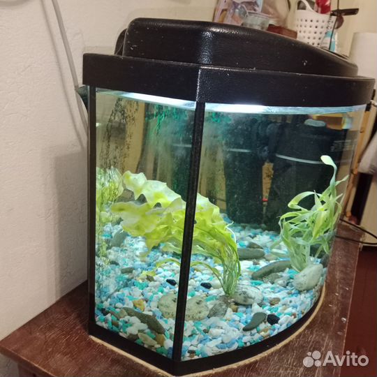Аквариум 80л