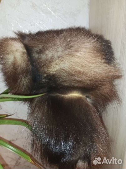 Мужская зимняя шапка ушанка меховая