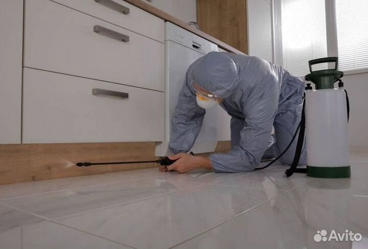 Средство для Уничтожения клопов травли тараканов, блох