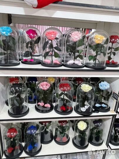 Роза в колбе premium