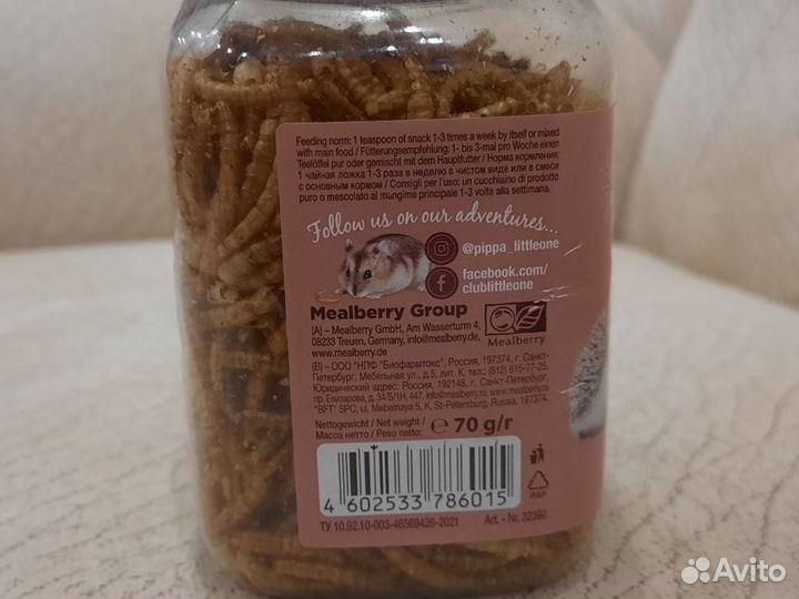 Мучной червь