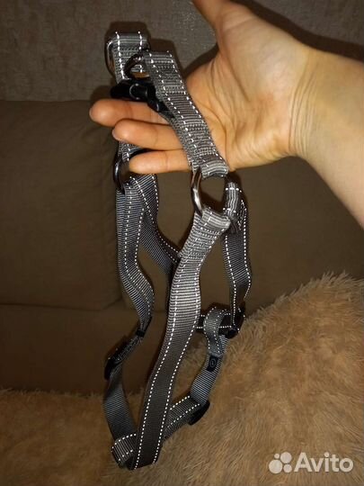 Принадлежности для собаки