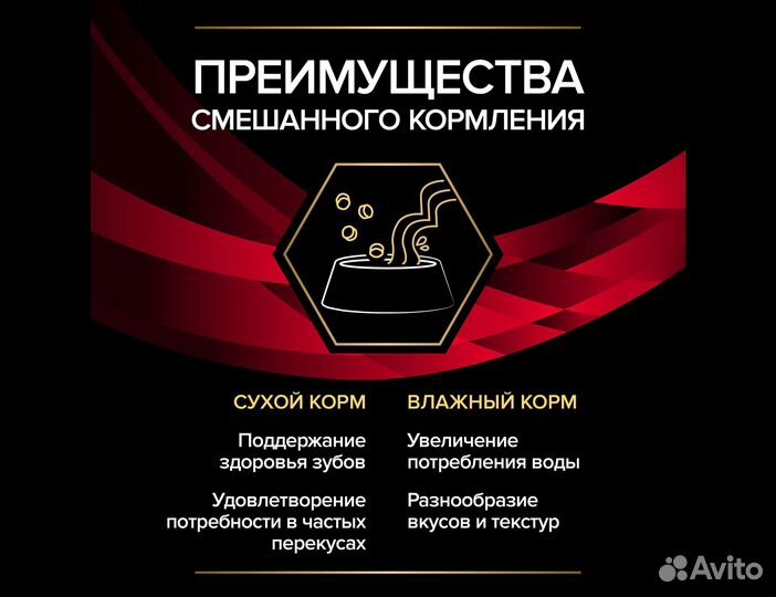 Пауч для кошек Pro Plan при диабете с курицей