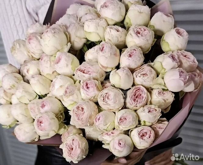 Букет из пионов цветы Доставка пионы 9 25 15