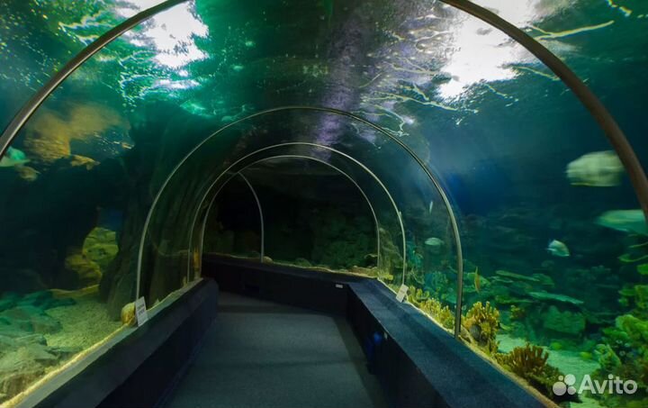 Тур Адлер на 6 нч. завтраки