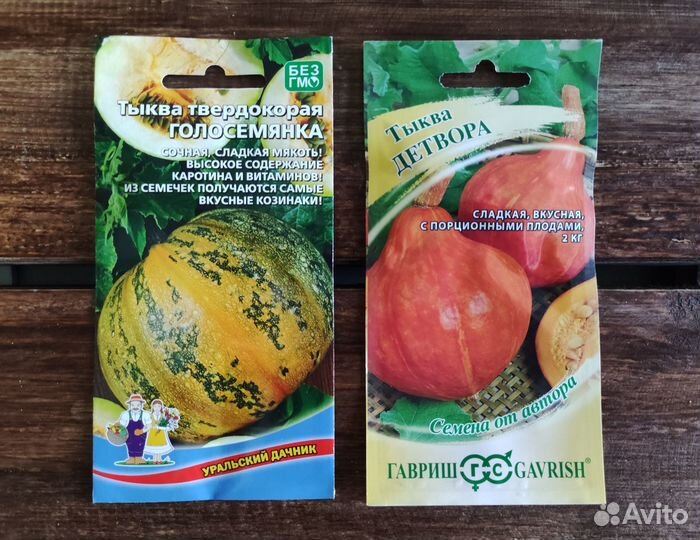 Семена Тыквы