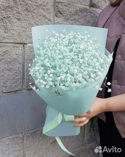 Гипсофила цветы