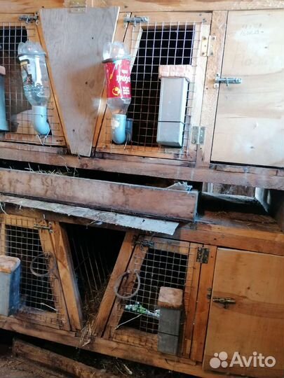 Клетка для кролика