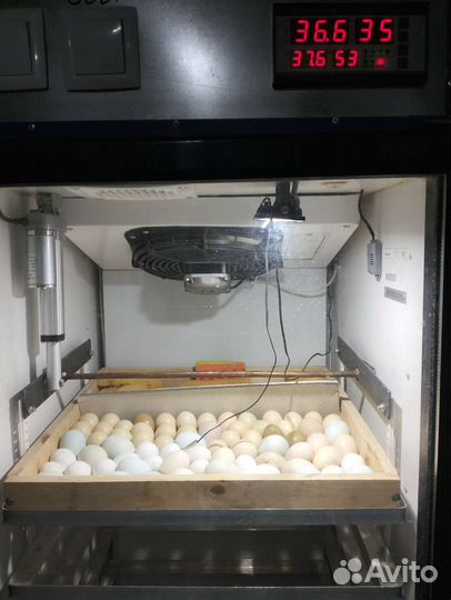 2 Инкубатора